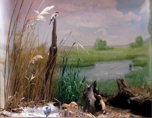 image016